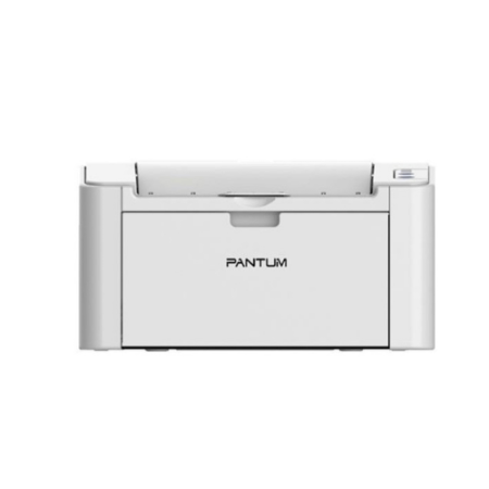 Pantum P2200 Laser Printer